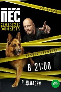 Пёс 1, 2, 3, 4, 5, 6 сезон